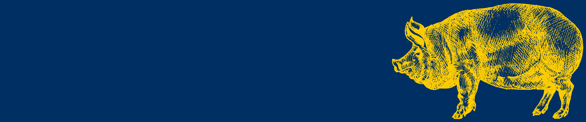 Eine gezeichnete Sau von Profil